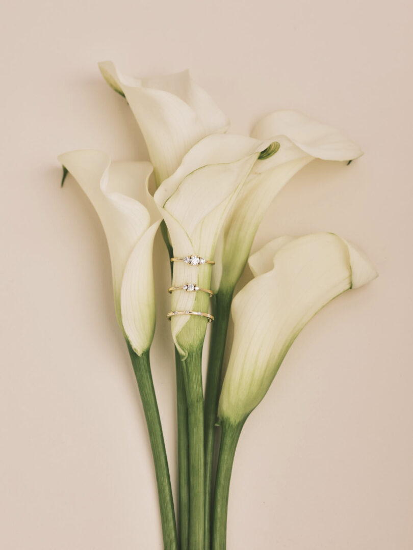 Hotcrown Jewelry