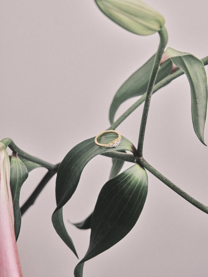 Hotcrown Jewelry