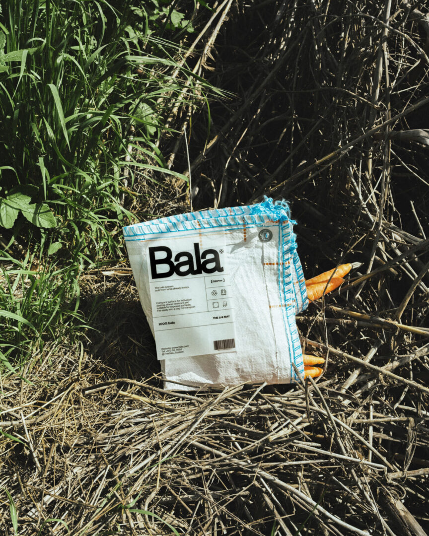 Bala